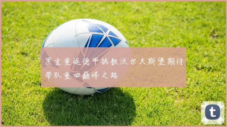 黑金重返德甲执教沃尔夫斯堡期待带队重回巅峰之路