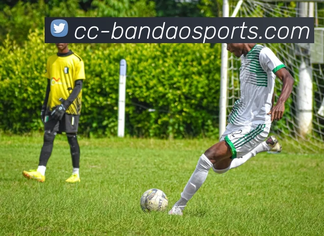 App Interface Preview